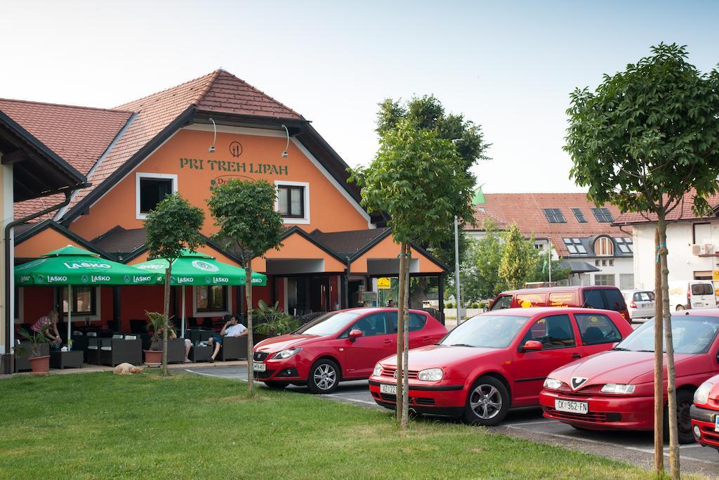 Guest House Pri Treh Lipah Ptuj Exterior photo