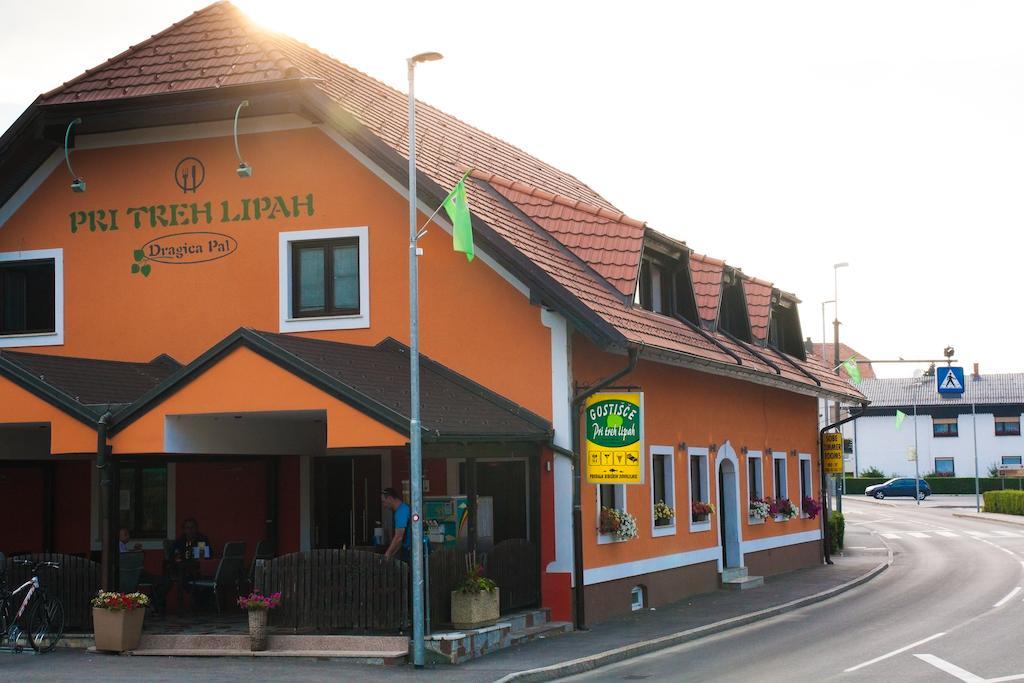 Guest House Pri Treh Lipah Ptuj Exterior photo