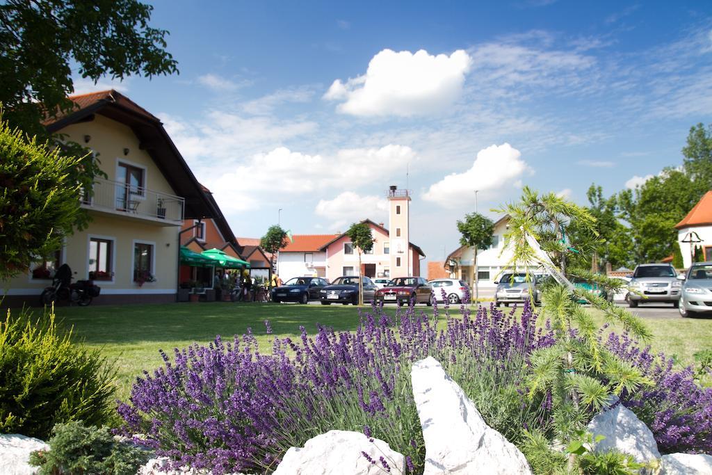 Guest House Pri Treh Lipah Ptuj Exterior photo